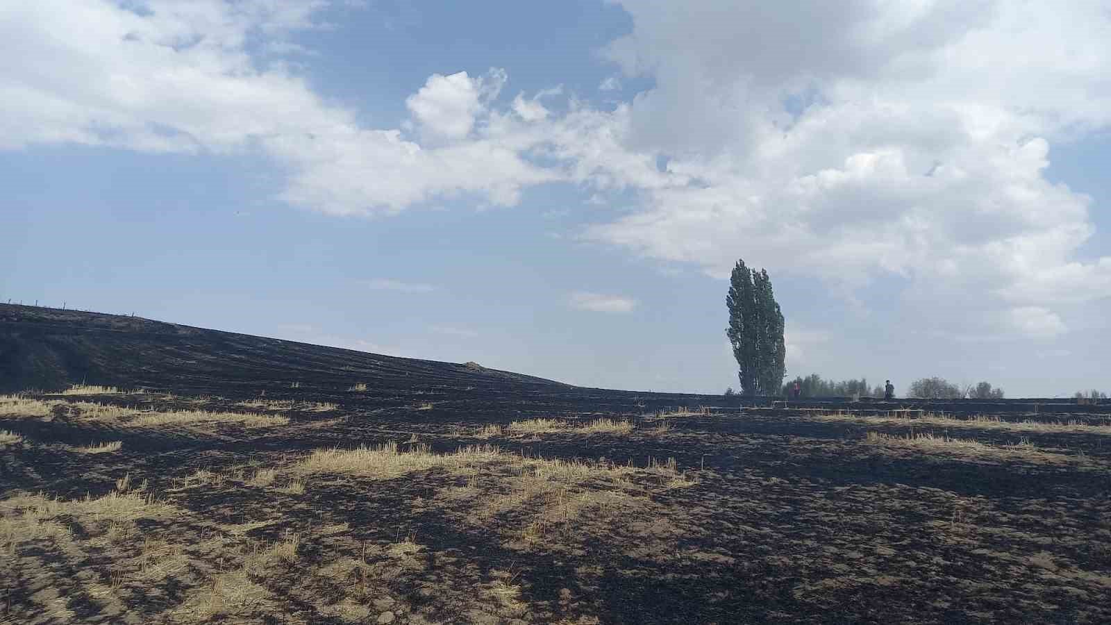 ÇEDAŞ’ın arızalanan trafosu 400 dönüm araziyi küle çevirdi